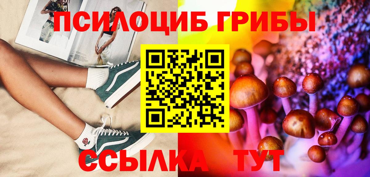 Псилоцибиновые грибы Psilocybine cubensis  Вход с VPN  Псилоцибиновые грибы Cubensis  магазин продажи наркотиков  Менделеевск 